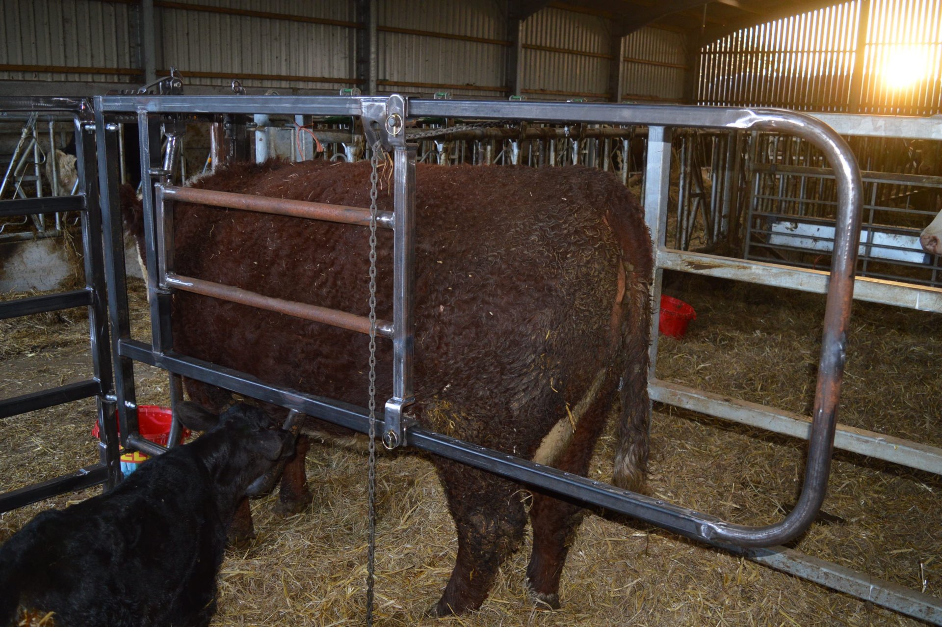 Calving Gate Price Page 2 The Farming Forum