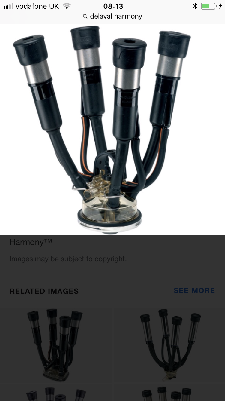 D10407EF-E8B5-4FE4-965F-4972FAE1118D.png D10407EF-E8B5-4FE4-965F-4972FAE1118D.png