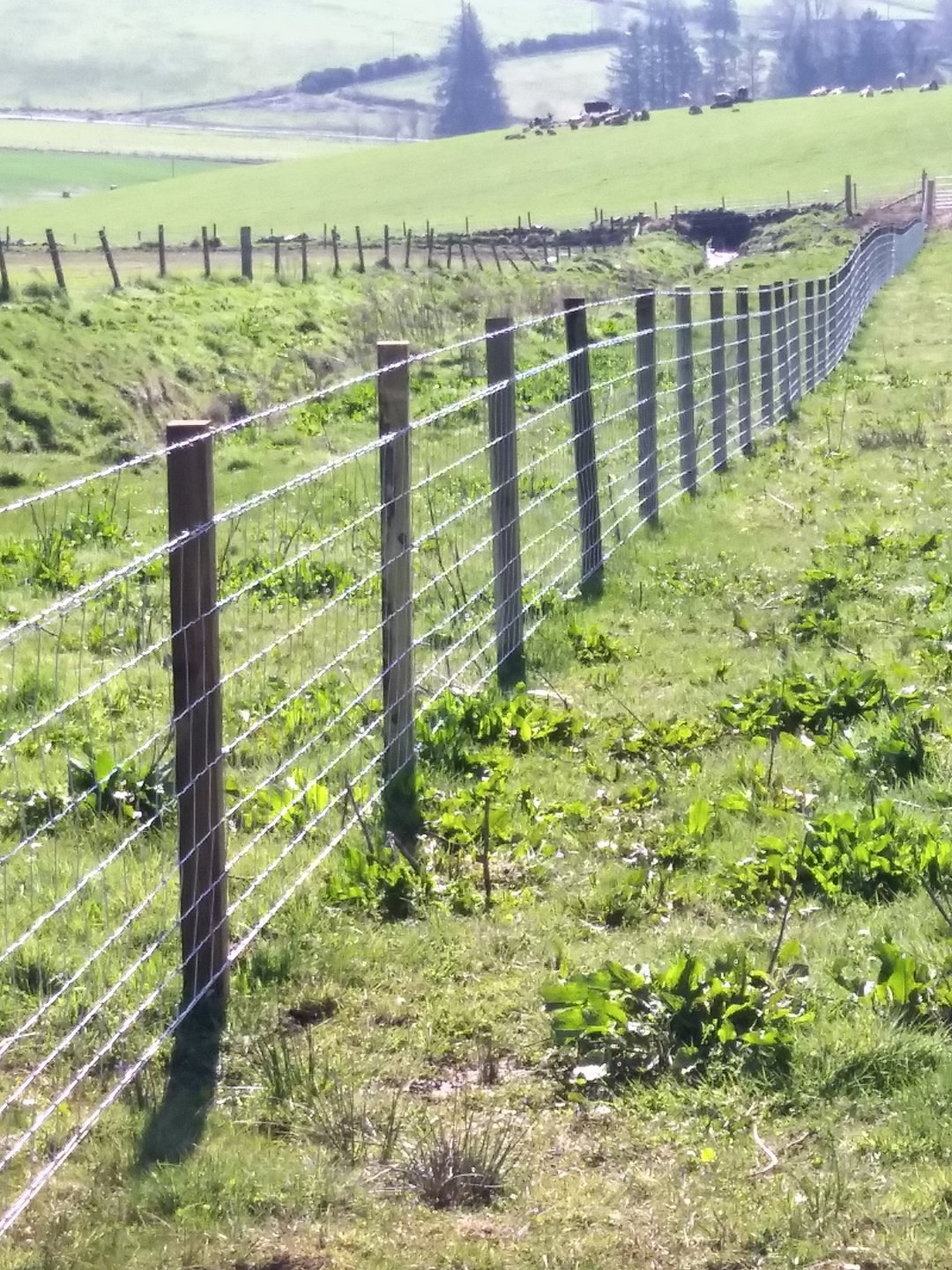 The Fencing Picture Thread Page 56 The Farming Forum