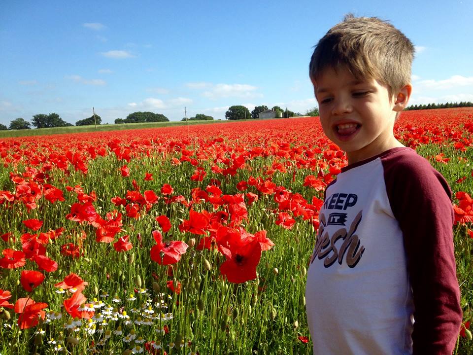 Open Farm Sunday Deersbrook Farm, Shalford Green Essex The Farming Forum