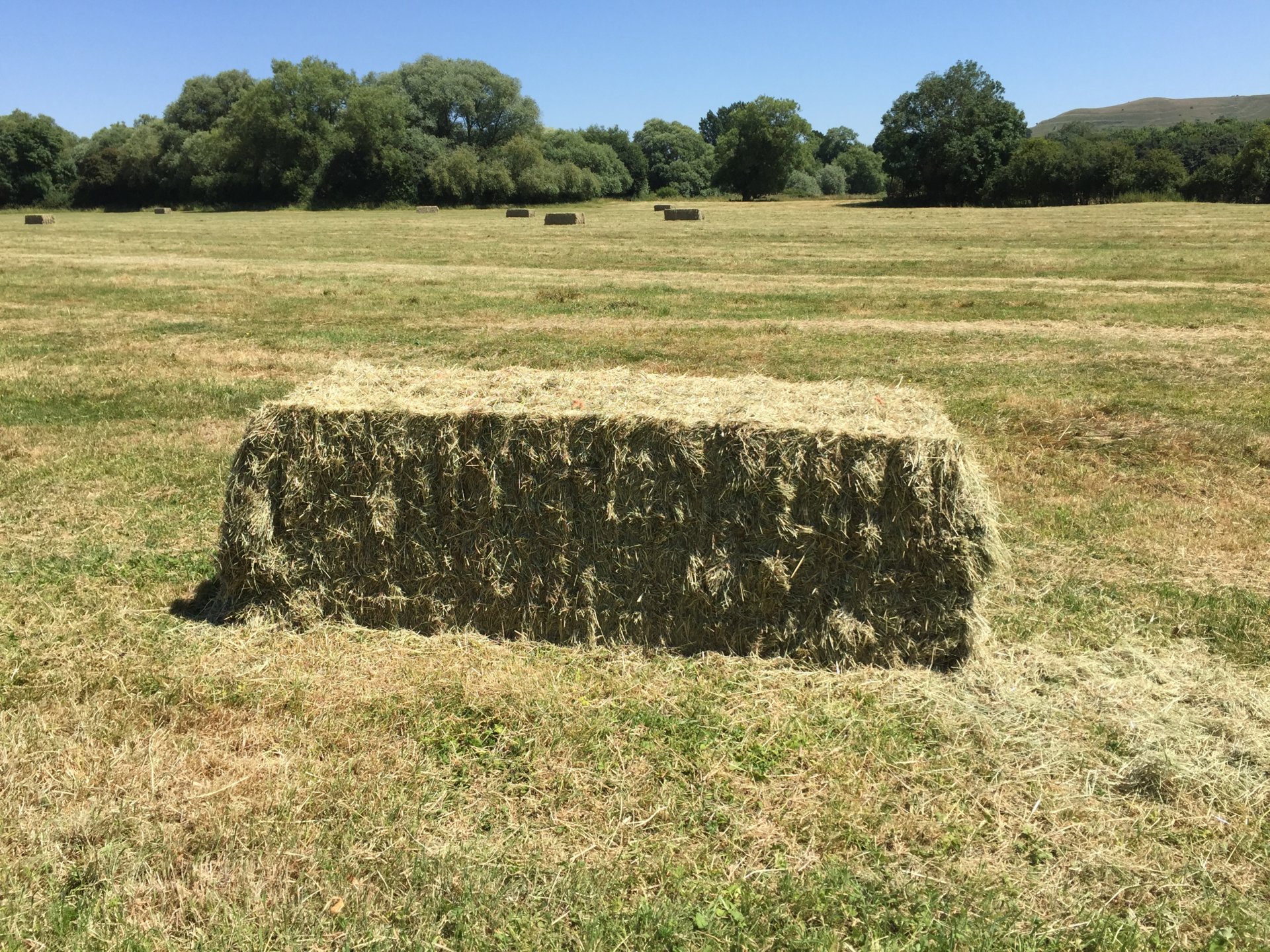 Hay per acre The Farming Forum