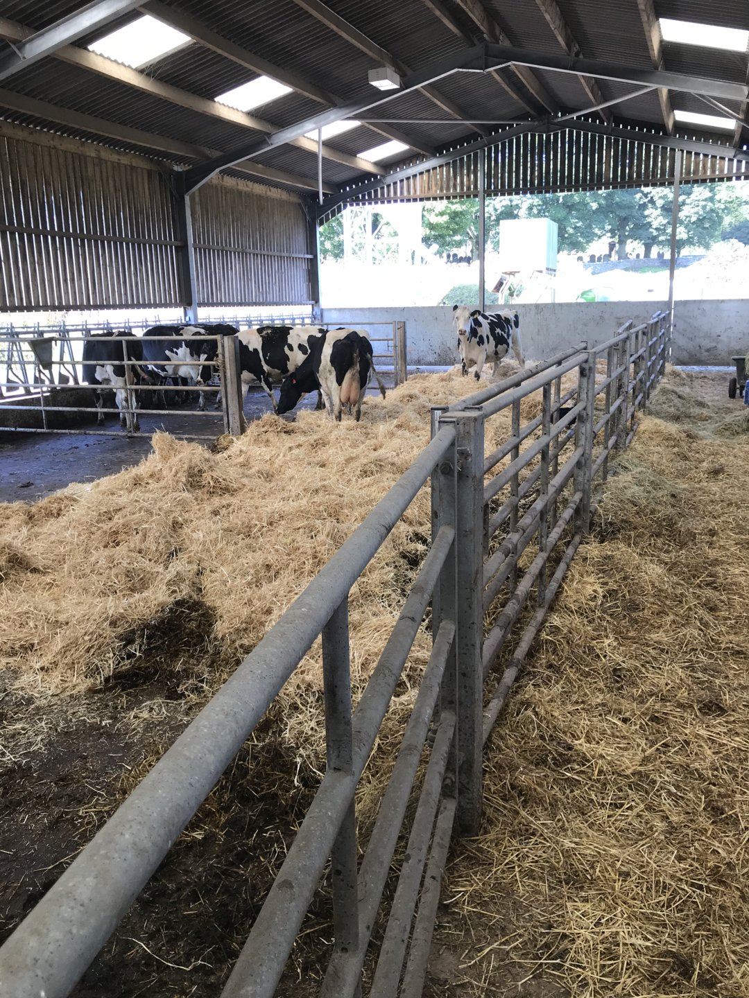 All things Dairy Page 1116 The Farming Forum