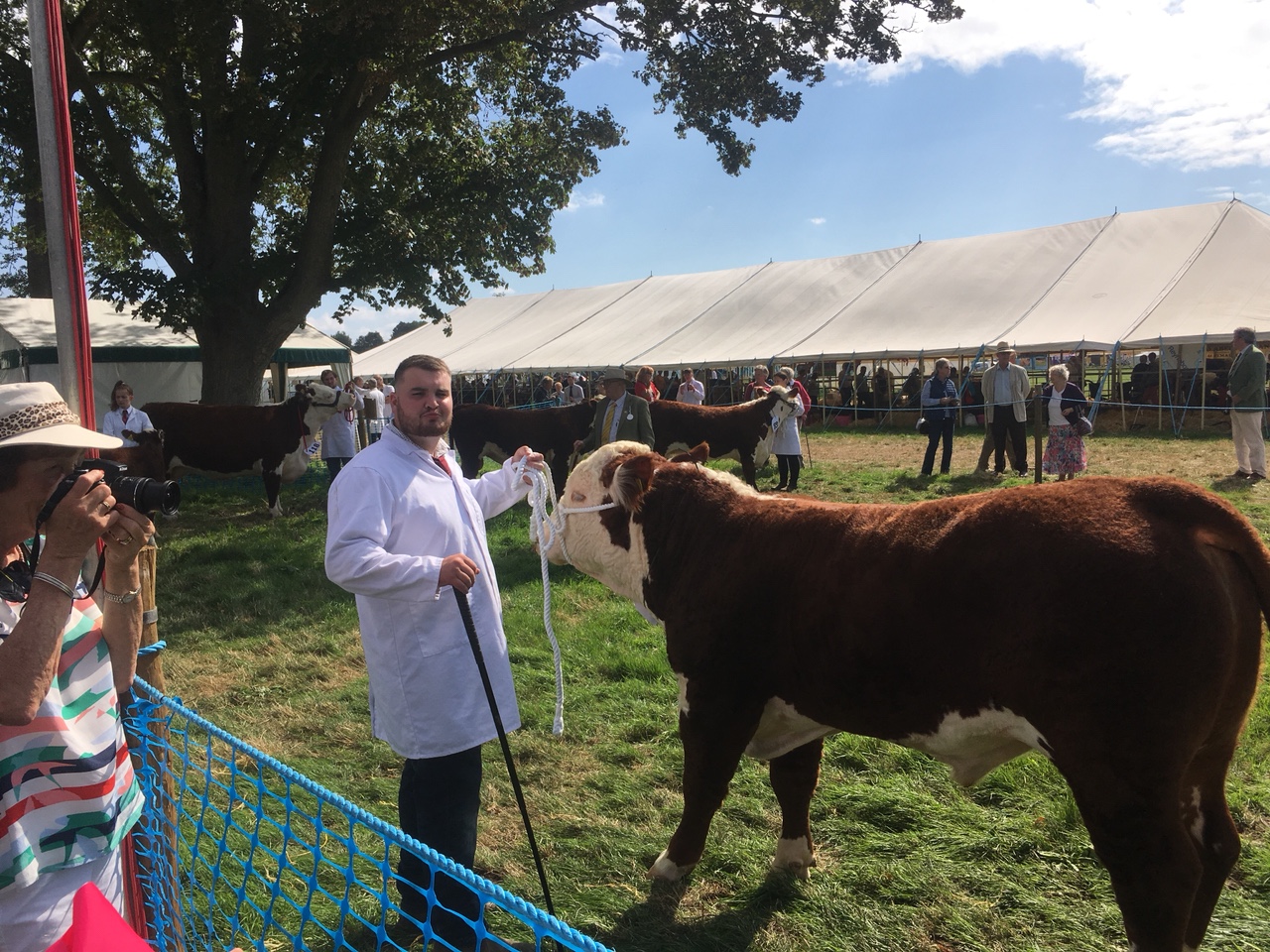 Alresford Agricultural Show The Farming Forum