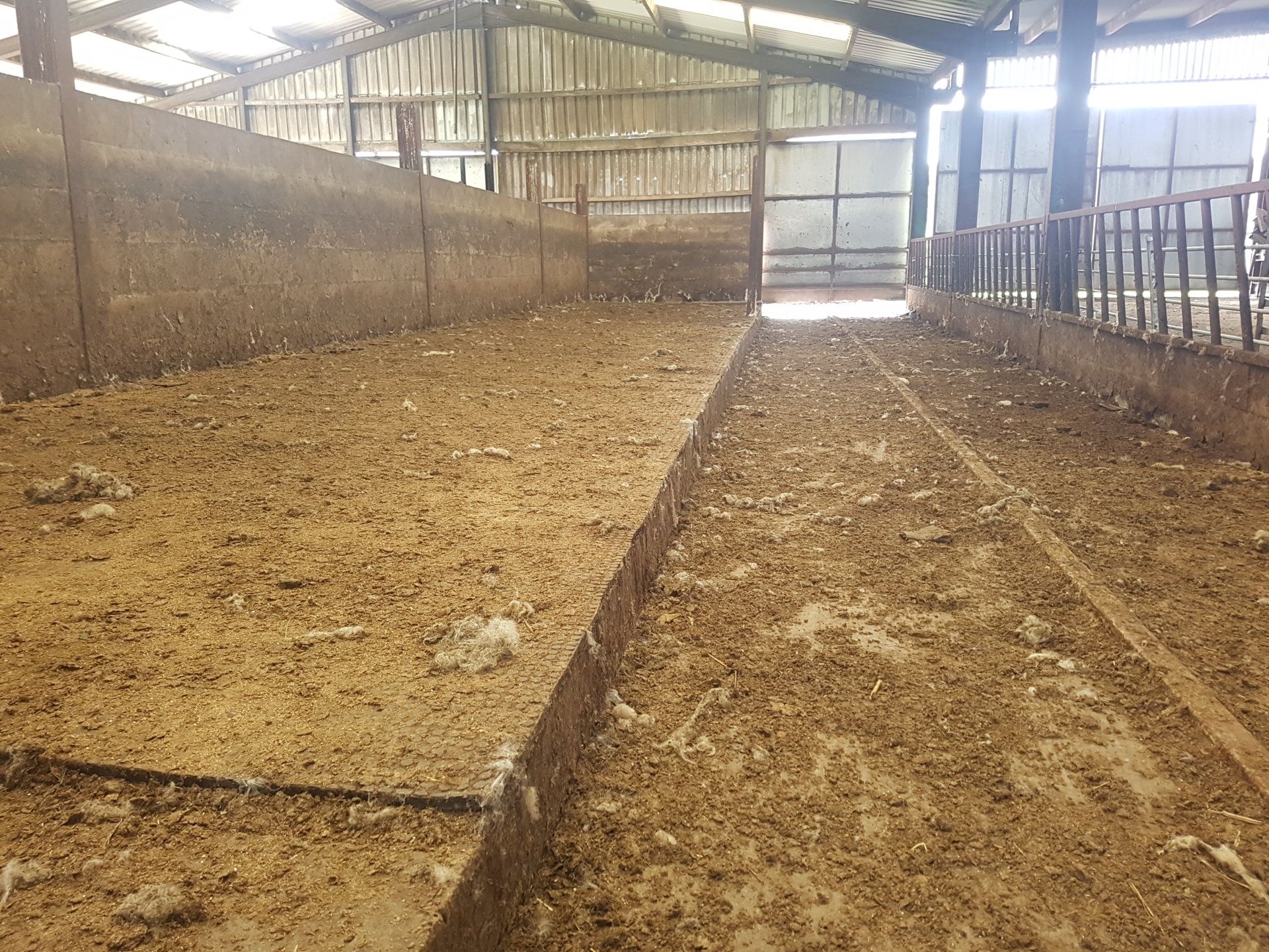 Orkney sloping floor cattle sheds Page 8 The Farming Forum