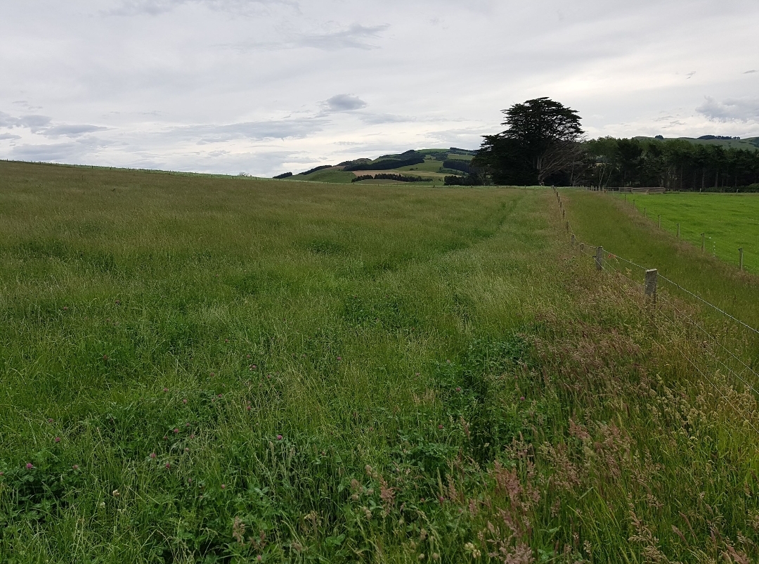 benefits of paddock grazing at rose briggs blog Images... "Improving Our Lot" - Planned Holistic Grazing, for starters.. | Page ...