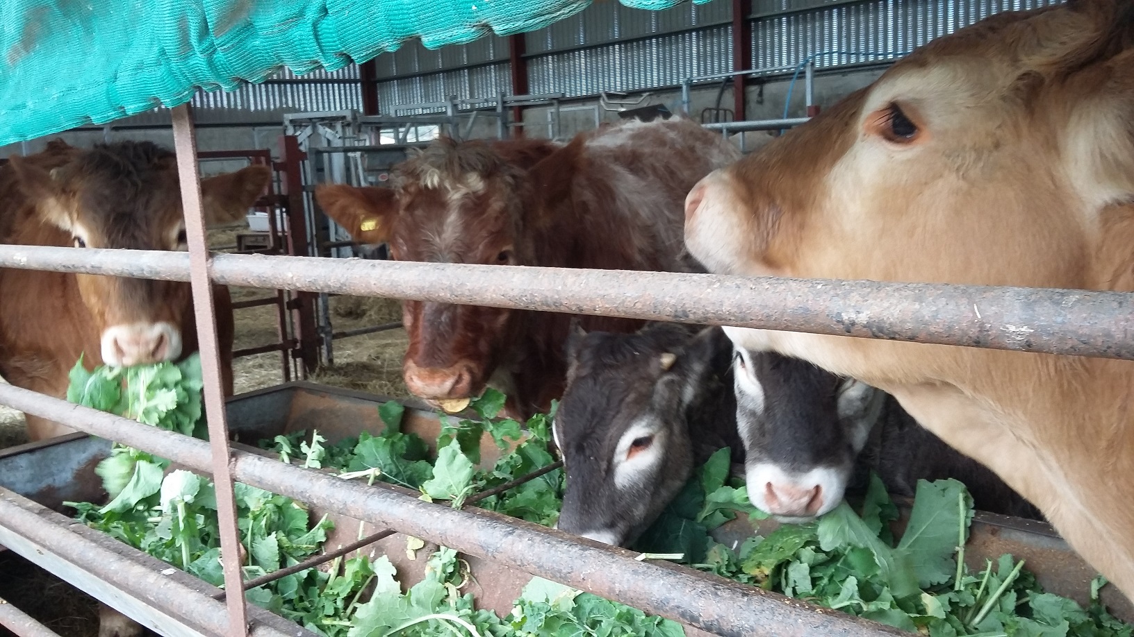 Traditional mixed Farming Page 21 The Farming Forum