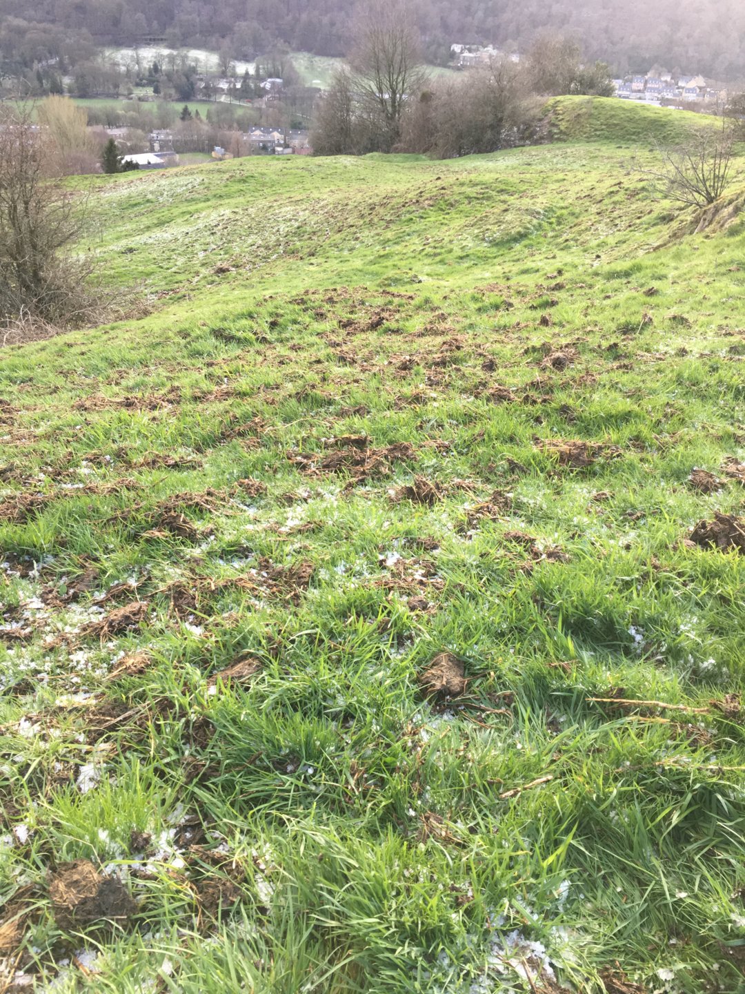 Grass seeding conundrum. | Page 3 | The Farming Forum