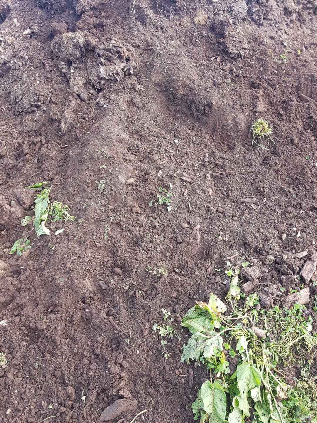 Using muck to improve soil. Page 3 The Farming Forum