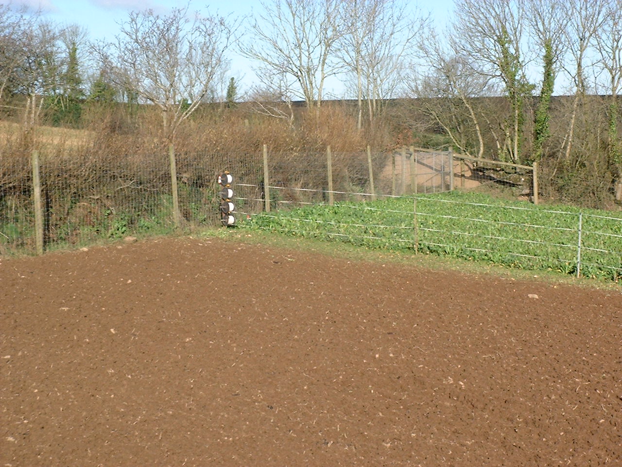 Electric fences for deer The Farming Forum