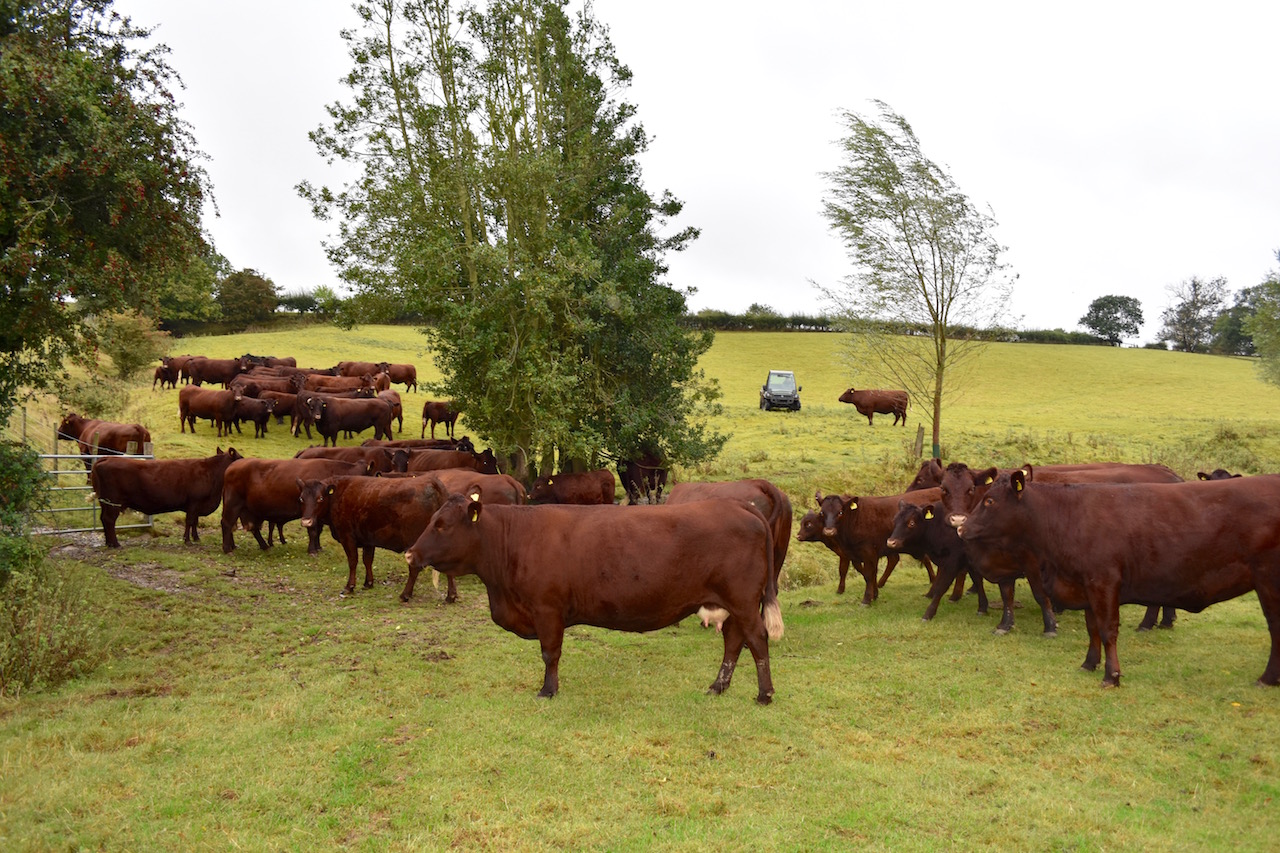 Today at work | Page 5158 | The Farming Forum
