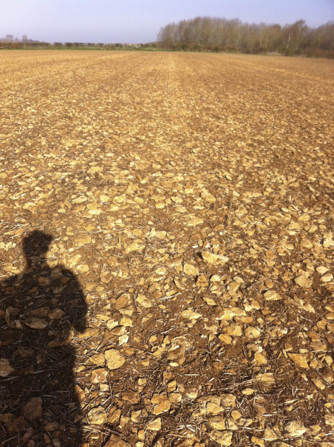 ploughing Cotswold Brash? Page 3 The Farming