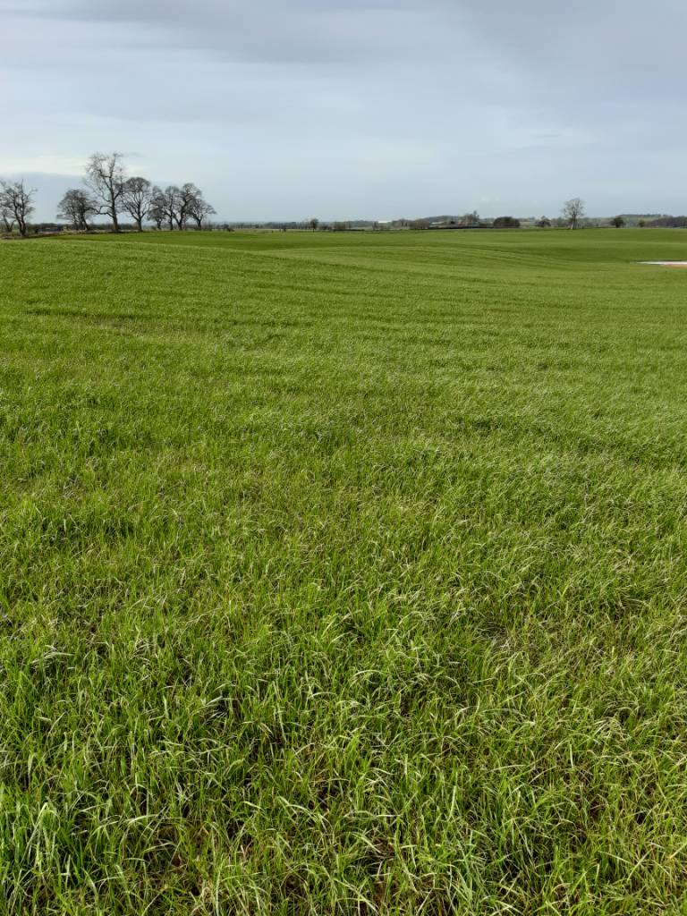 Erth Agriseeder Page 3 The Farming Forum