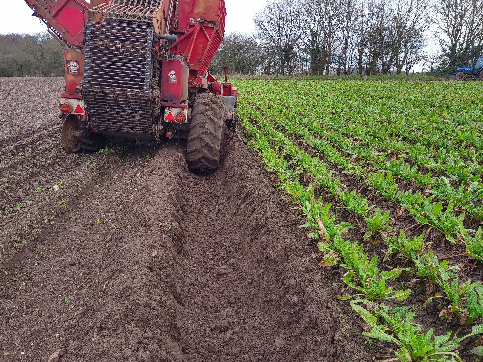 Beet yields 2020 Page 31 The Farming Forum