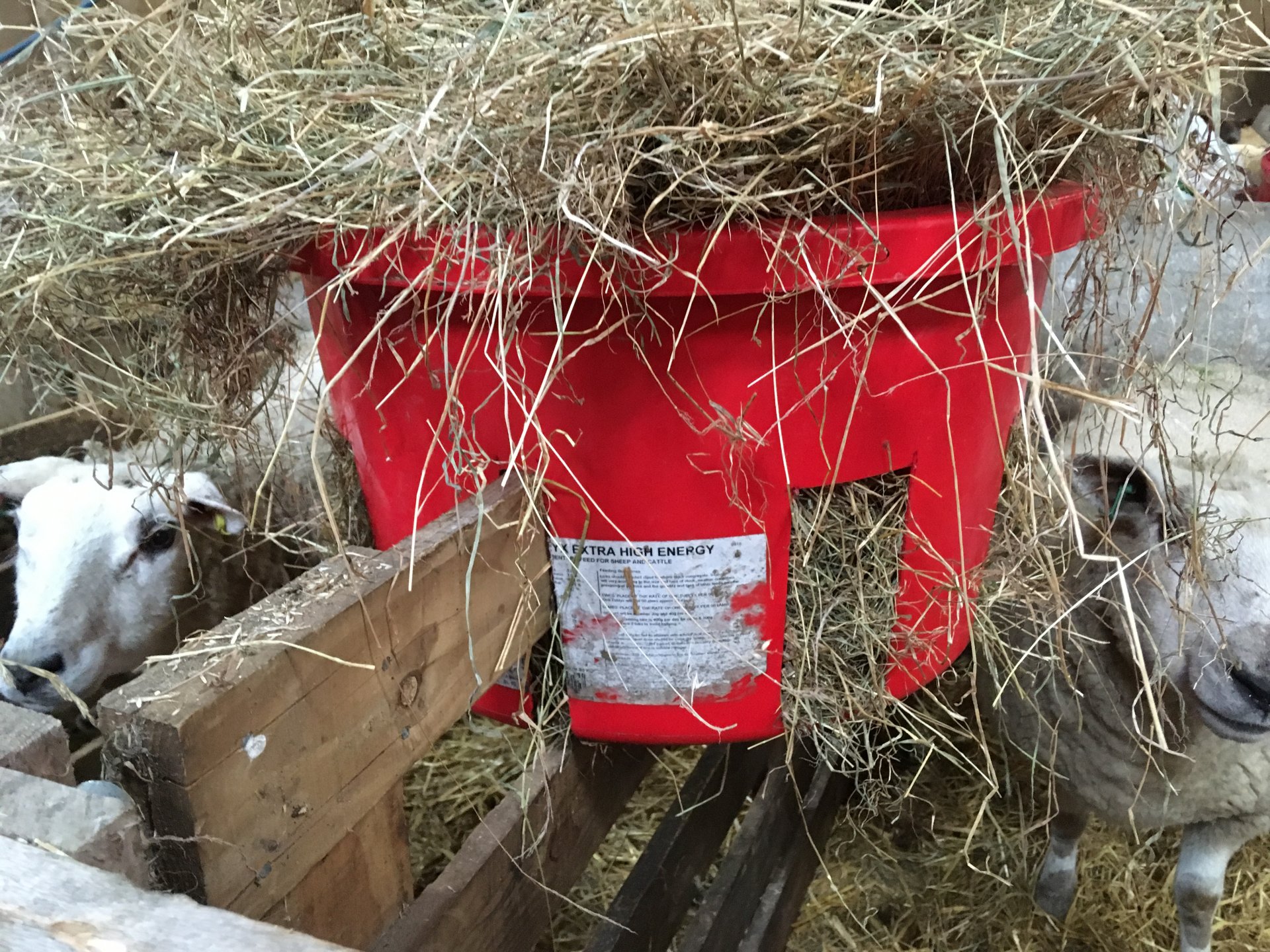 Sheep hay baskets Page 3 The Farming Forum