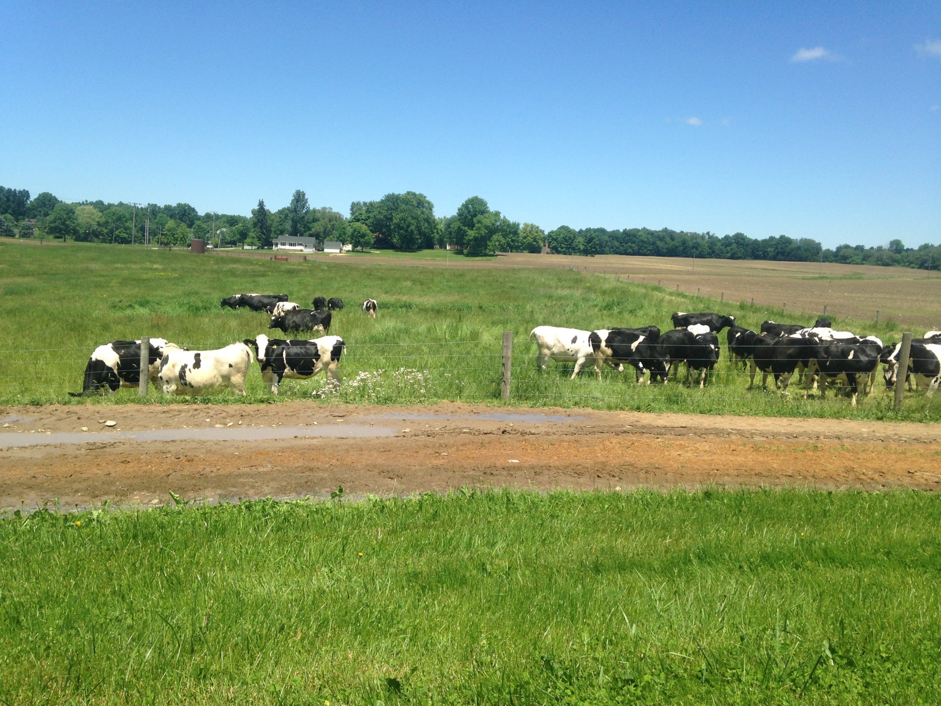 Aggravated Farmer Blog 1 American Farm History and Background of