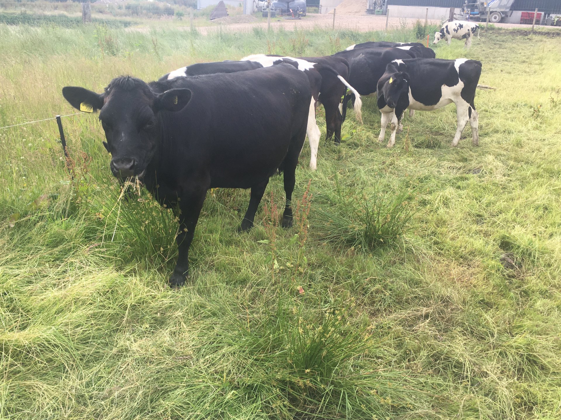 Today at work | Page 6000 | The Farming Forum