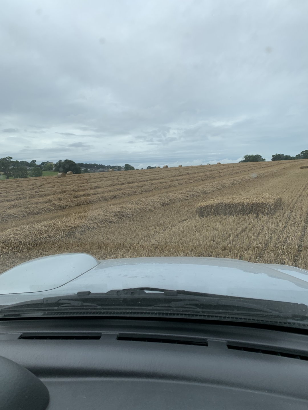 Wet straw The Farming Forum