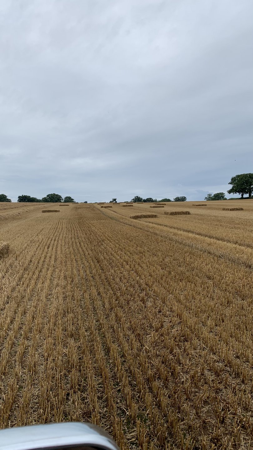 Wet straw The Farming Forum